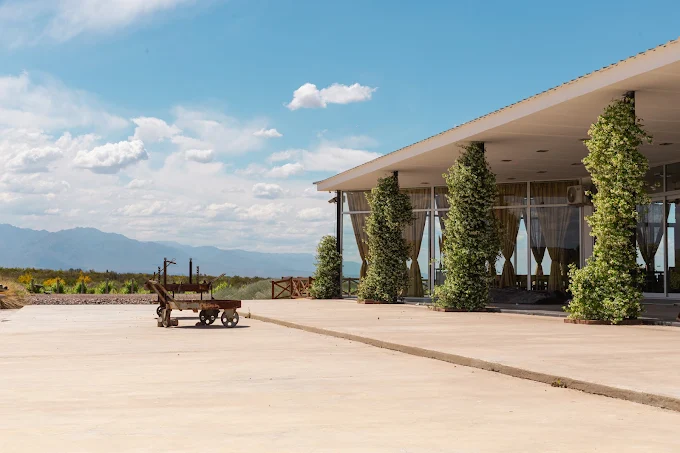 Fachada da vinícola com os Andes ao fundo